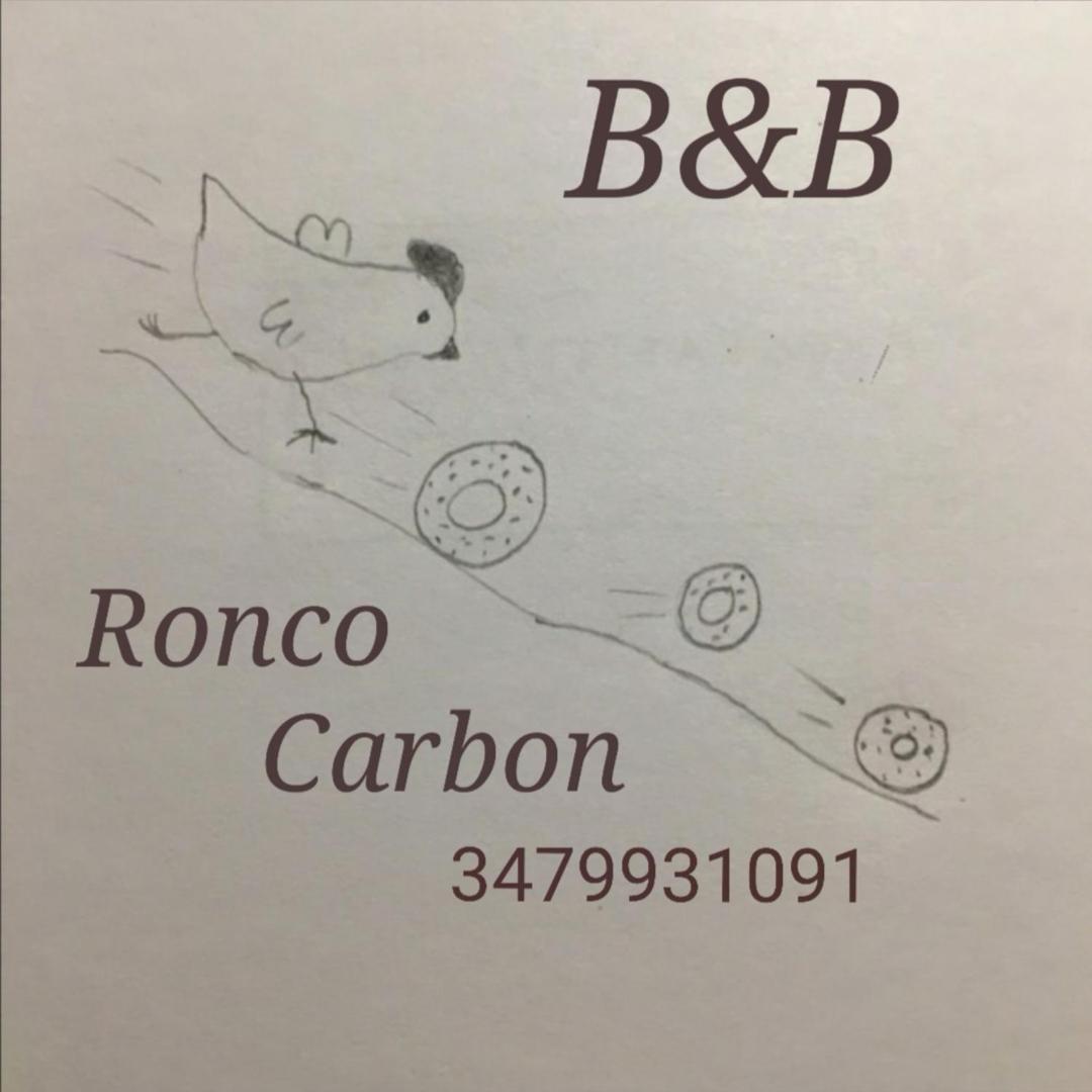 גאליו B&B Ronco Carbon מראה חיצוני תמונה